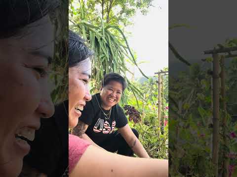 BUTAK UG COCONUT 🥥