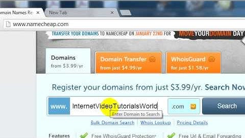 Wordpress Video Series Part One: How to Buy a Domain Name