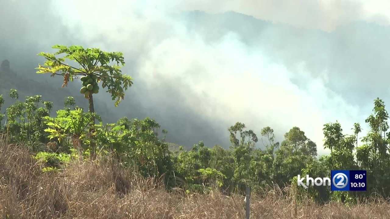 Hawaiʻi Island first responders kept busy following brush, structure fires
