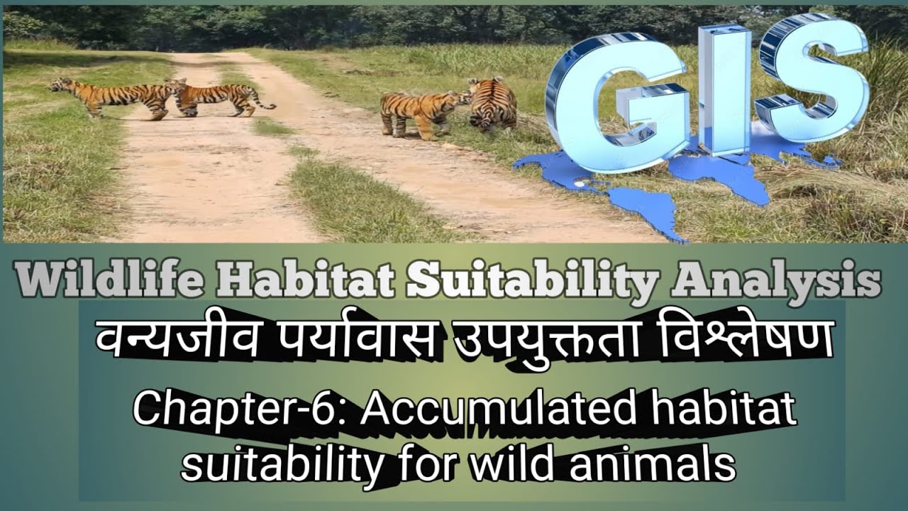 Wildlife Habitat Suitability Analysis  II Accumulative Habitat Suitability by Weighted Sum