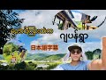 ဂျပန်နိုင်ငံကတောရွာလေး 自然が豊かの田舎の生活能勢町