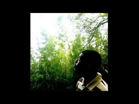 Flying Lotus - Dirty Chopsticks