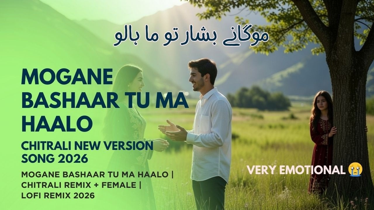 Mogane Bashaar Tu Ma Haalo | Chitrali Remix + Female | Lofi Remix 2026