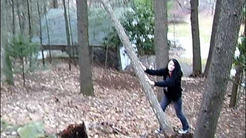 Tree Terminator (for real)