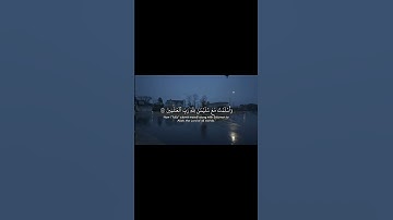 تلاوة من سورة النمل || القارئ علي جابر.