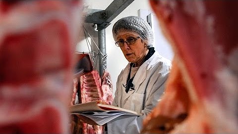 Safety and welfare for the food chain