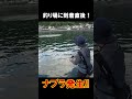 釣り場に到着した直後にナブラ発生!! #青物 #釣り #ショアジギング