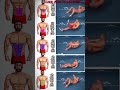 Best ABS Workout at Home 🔥 6 Pack Abs Challenge | No Equipment Home Workout#fitness #motivation