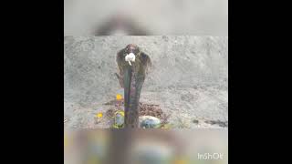 newsabhiyan