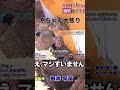 原ちゃん絶対いい人#shorts #timelesz #寺西拓人猪俣周杜#菊池風磨#佐藤勝利#松島聡#寺西拓人#原嘉孝#篠塚大輝#橋本将生#タイムレス