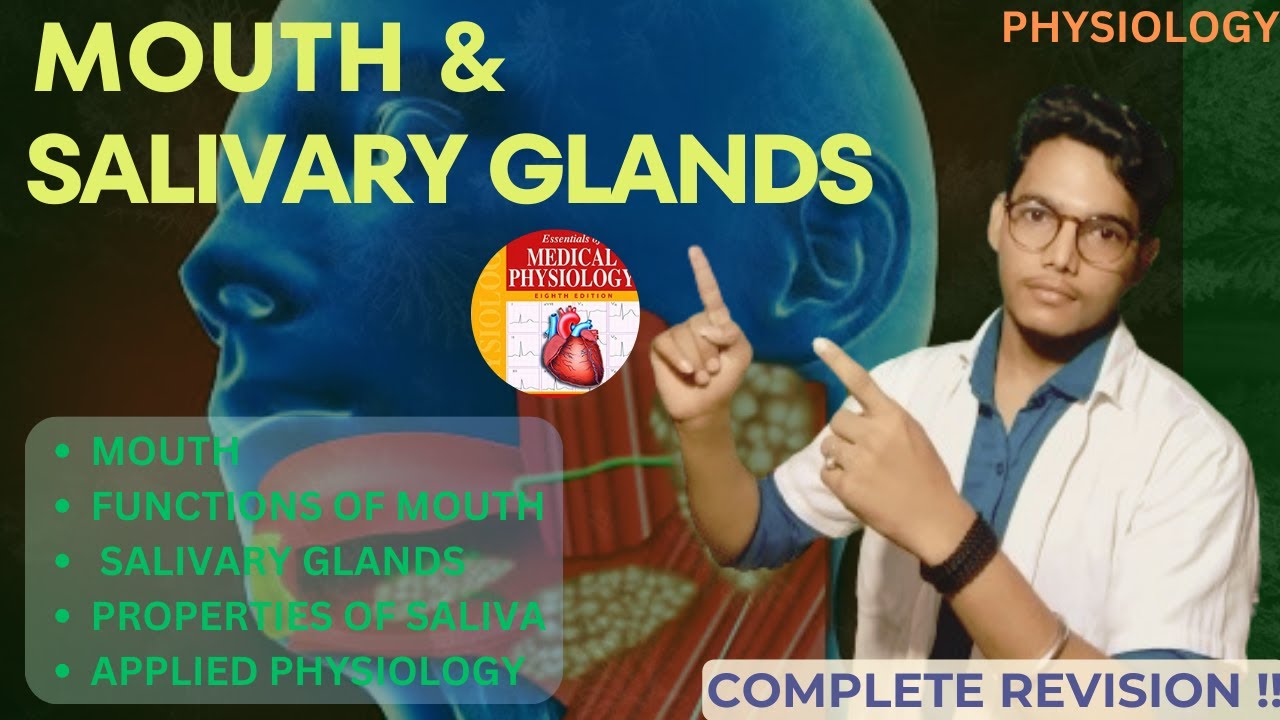 Mouth and salivary glands physiology in hindi structure functions