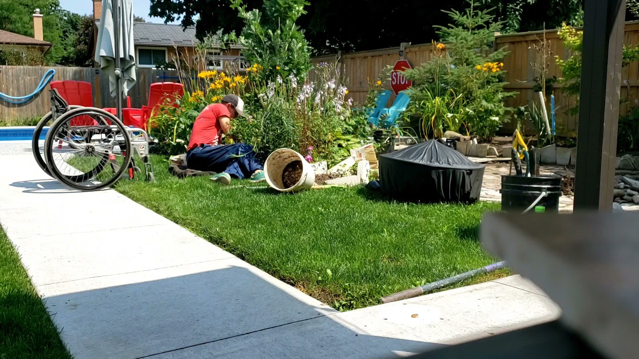 revisiting a fire pit, heavy weeding