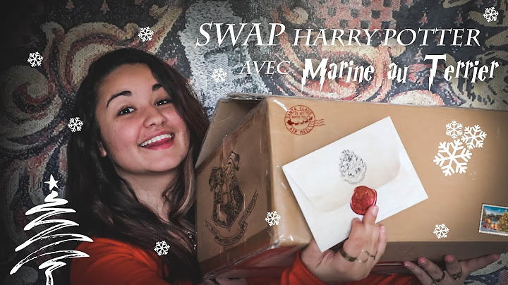SWAP HARRY POTTER DE NOËL avec Marine au Terrier