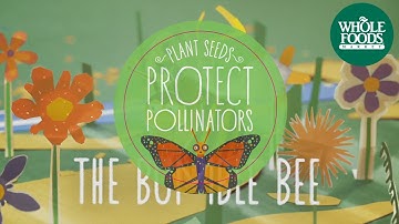 Meet the Bumble Bee I Values Matter | Whole Foods Market