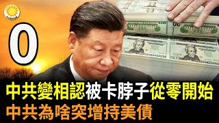🔥中共變相承認:被「卡脖子」 要從零開始;中共為啥突然增持美債?川農:種政府發的種子顆粒無收 |【阿波羅網FR】 🔥中共變相承認:被「卡脖子」 要從零開始;中共為啥突然增持美債?川農:種政府發的種子顆粒無收 |【阿波羅網FR】
