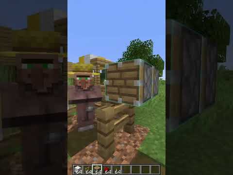 😱 He does not sell goods profitably in Minecraft