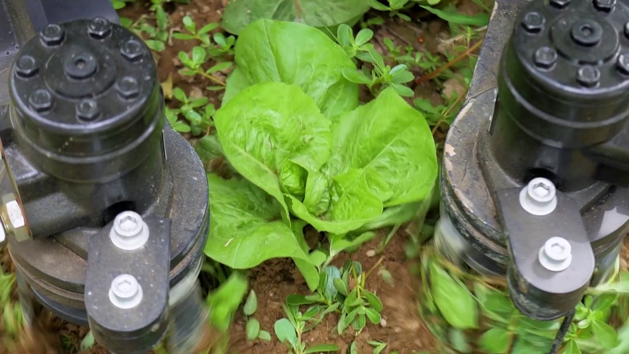 Sarchiatrice MAYA - mod.FM2T