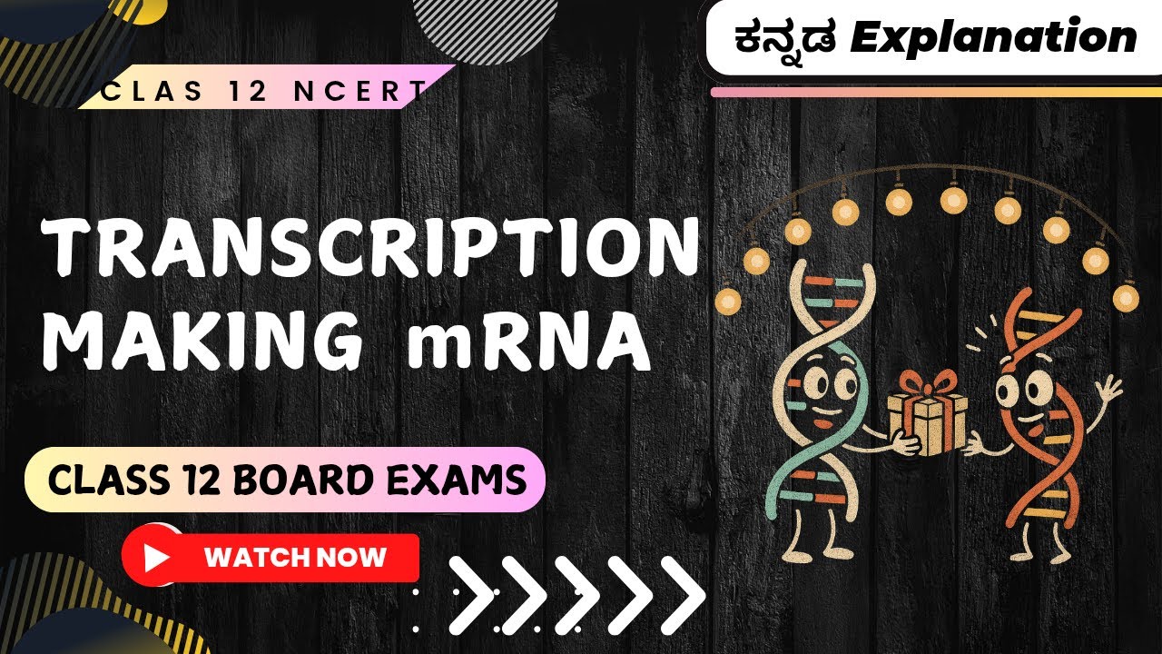 Molecular Basis of Inheritance 05 🔥 Transcription Class 12 in Kannada ...