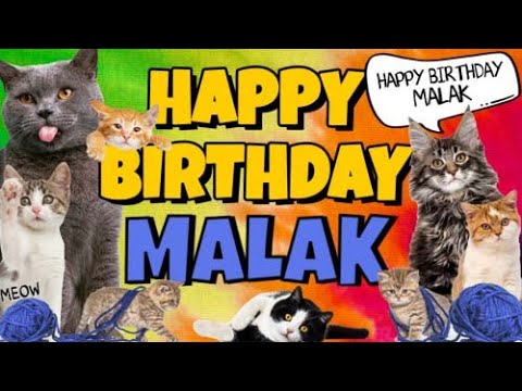 Happy Birthday Malak Crazy Cats Say Happy Birthday Malak Very Funny 