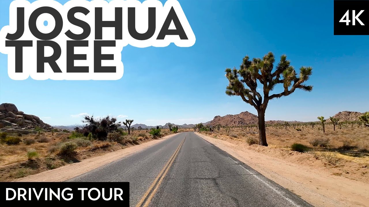 Discover the Wonders of Joshua Tree National Park in this Cinematic Driving Tour [4K]