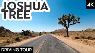 Discover the Wonders of Joshua Tree National Park in this Cinematic Driving Tour [4K]