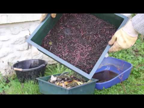 world-of-chiottes:-toilettes--sèches