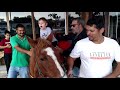 Projeto de Equoterapia -  Equine Therapy Project