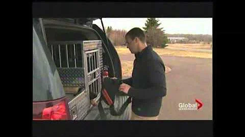 Bill Grimmer's Cadaver Dogs | IACP Video of the Month