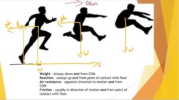 Force and free body diagrams for OCR A Level PE
