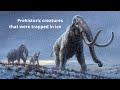 Prehistoric Creatures Lost in The Depths of Siberia. | First-Time