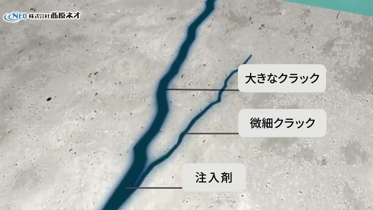コンクリート水槽の躯体診断・補修・補強サービス | 西原ネオ