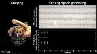 Soft sensor turns touch into robotic action without electronics screenshot 3