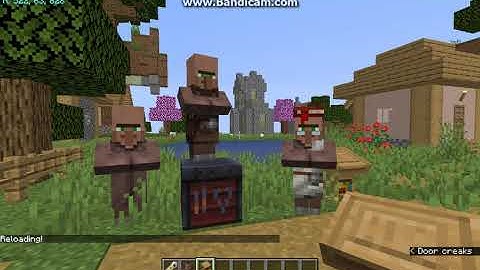 Villager Names 1.12.2 to 1.14.4 Forge Mod Overview