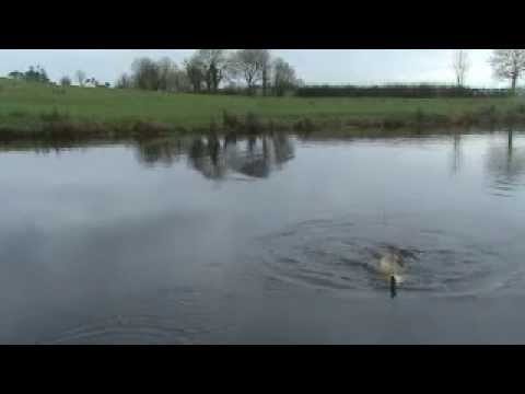 Irish Pike fishing in Fermanagh with a Savage Gear...