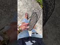 Mini restock alert! #crocs #crocsflipflips #crocssandals Crocs #crocsleopard #tiktokshopcreatorpicks