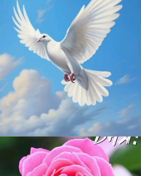 Благословенного дня с богом