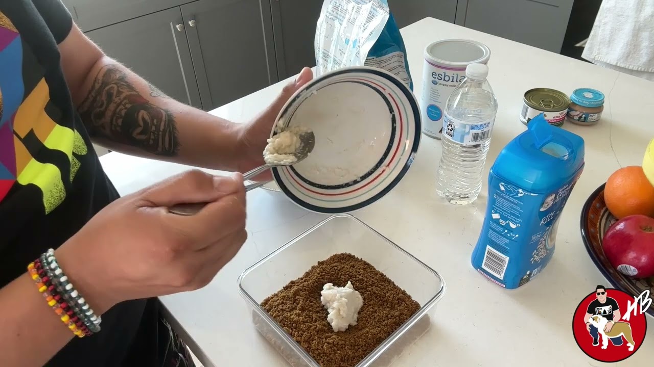 Así hago la Papilla para el Destete de mis Bulldogs!!