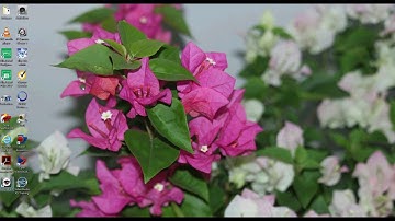 View BESDER IP camera via iSPY software