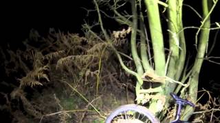 Wheel truing for beginners - on the trail Visualizing Wheel Truing Te A Ch Tuesday 139