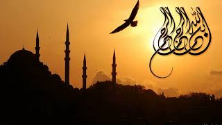 Kuran Tilaveti + Türkçe Meal | Ayet 271-300 | Al-Baqara 264 - Aal-i-Imraan 7