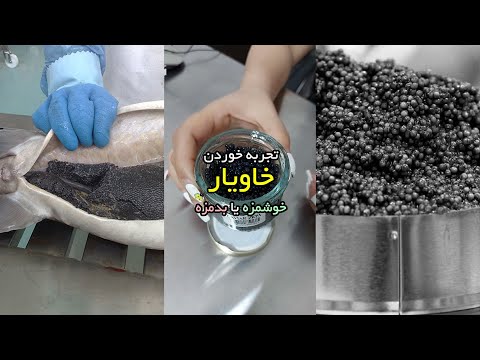 تجربه خوردن خاویار ایرانی ماهی اوزون برون