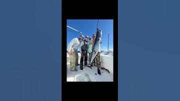 Wahoo On Deck - #high #speed #trolling #wahoo #fishing #shorts #liquidfirefishing