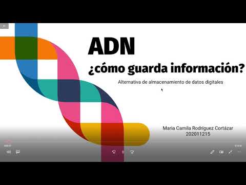 Video: ¿Cómo almacena información un gen?