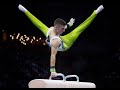 Best scores of 2019  pommel horse  mag