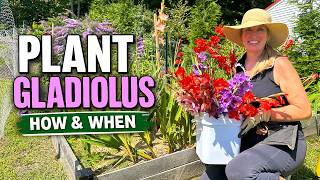How to Plant & Grow Gladiolus: Everything You Need to Know!