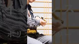 イレヴンス / ポリスピカデリー【A,sax cover.】#サックス #吹いてみた #shorts #music #vocaloid #song #cover #初音ミク #saxophone