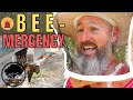 We survived our first bee hive inspection | Bee Hive Beginner Luck | Bee Emergency Super