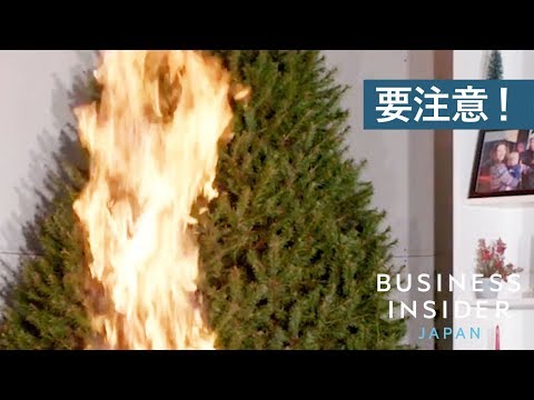 クリスマスツリーの火災を防ぐ5つの習慣：実体験から学んだ安全対策