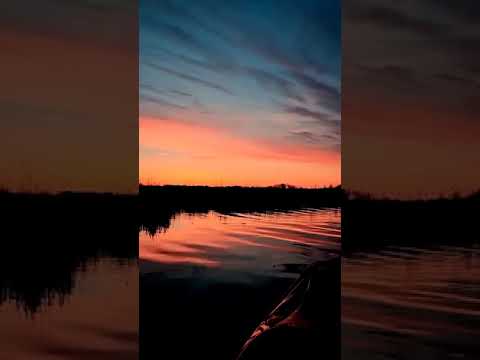 Beauty Full Seen Of Sunrise #latest #for you#ammazing #new #shortsvideo