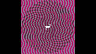 Deerhunter - Spring Hall Convert (2007 CD Audio)